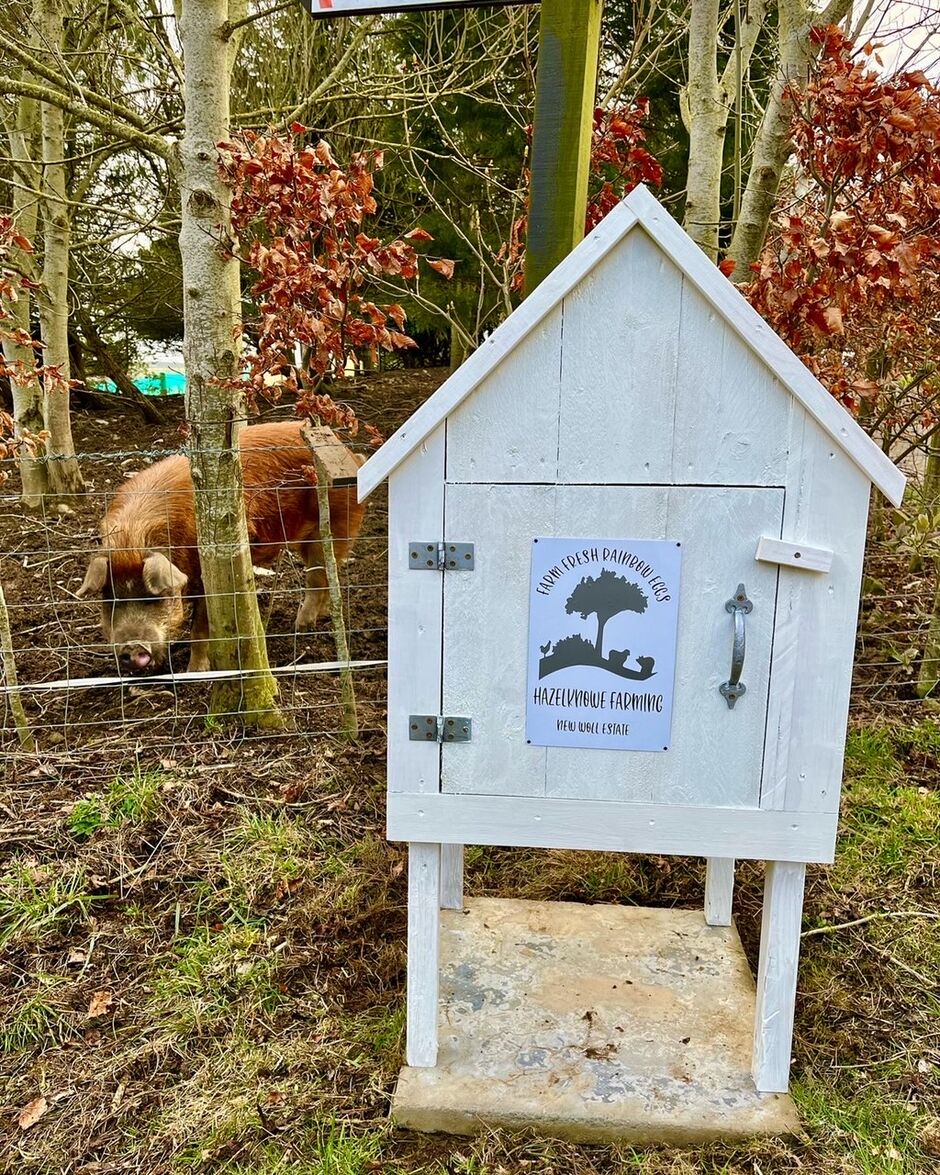 Eggs for sale Hazelknowe Farming New woll Estate